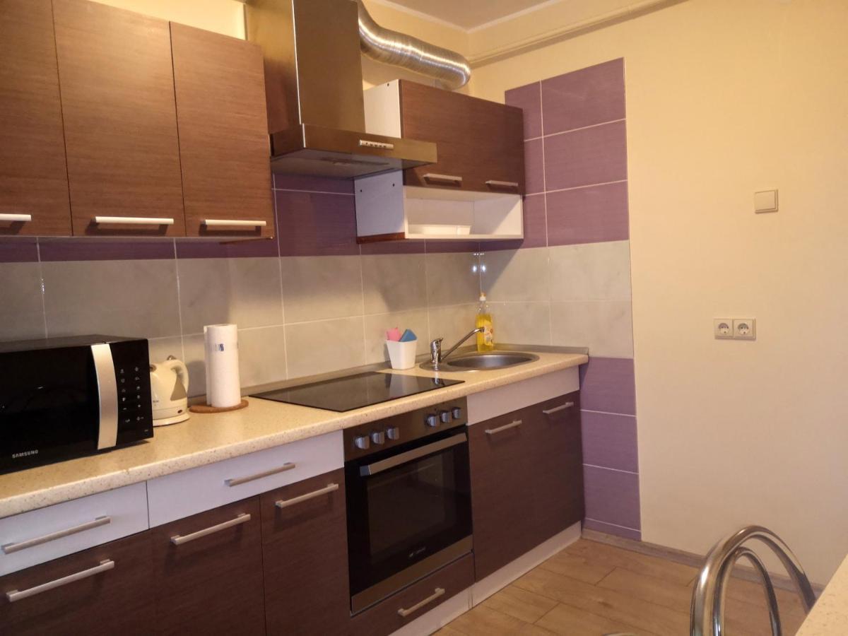 Kristinos Apartment Druskininkai Buitenkant foto